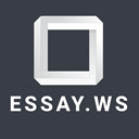 Essay Writing Service Chrome extension download