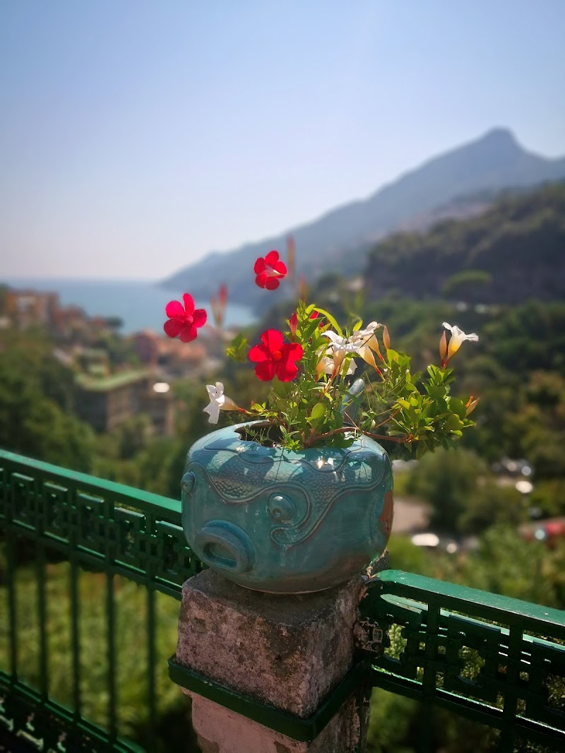 paesaggio di primavera di enzomolino