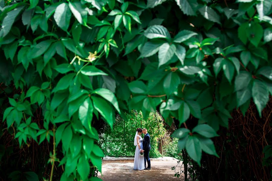 Huwelijksfotograaf Yana Novickaya (novitskayafoto). Foto van 7 augustus 2019