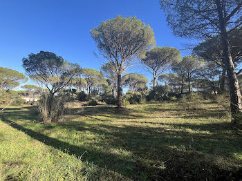 terrain à Vidauban (83)