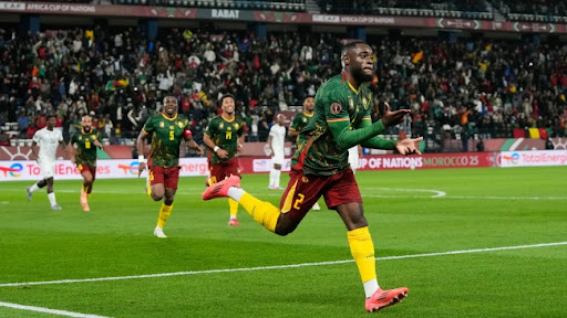Fudbaleri Kameruna u četvrtfinalu Kupa afričkih nacija