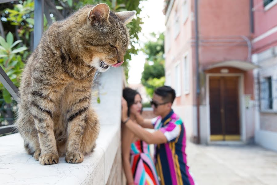 Fotografo di matrimoni Taya Kopeykina (tvkopeikina). Foto del 18 luglio 2018