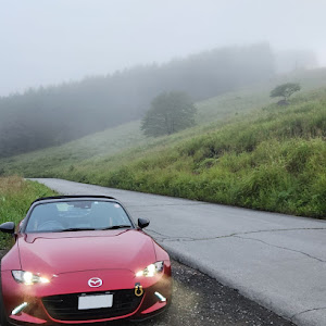 ロードスター ND5RC