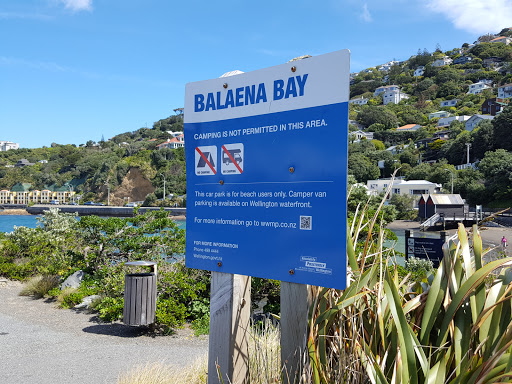 Balaena Bay