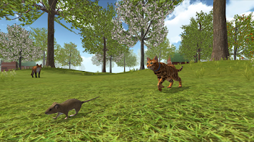 Cat Simulator : Kitties Family Screenshot