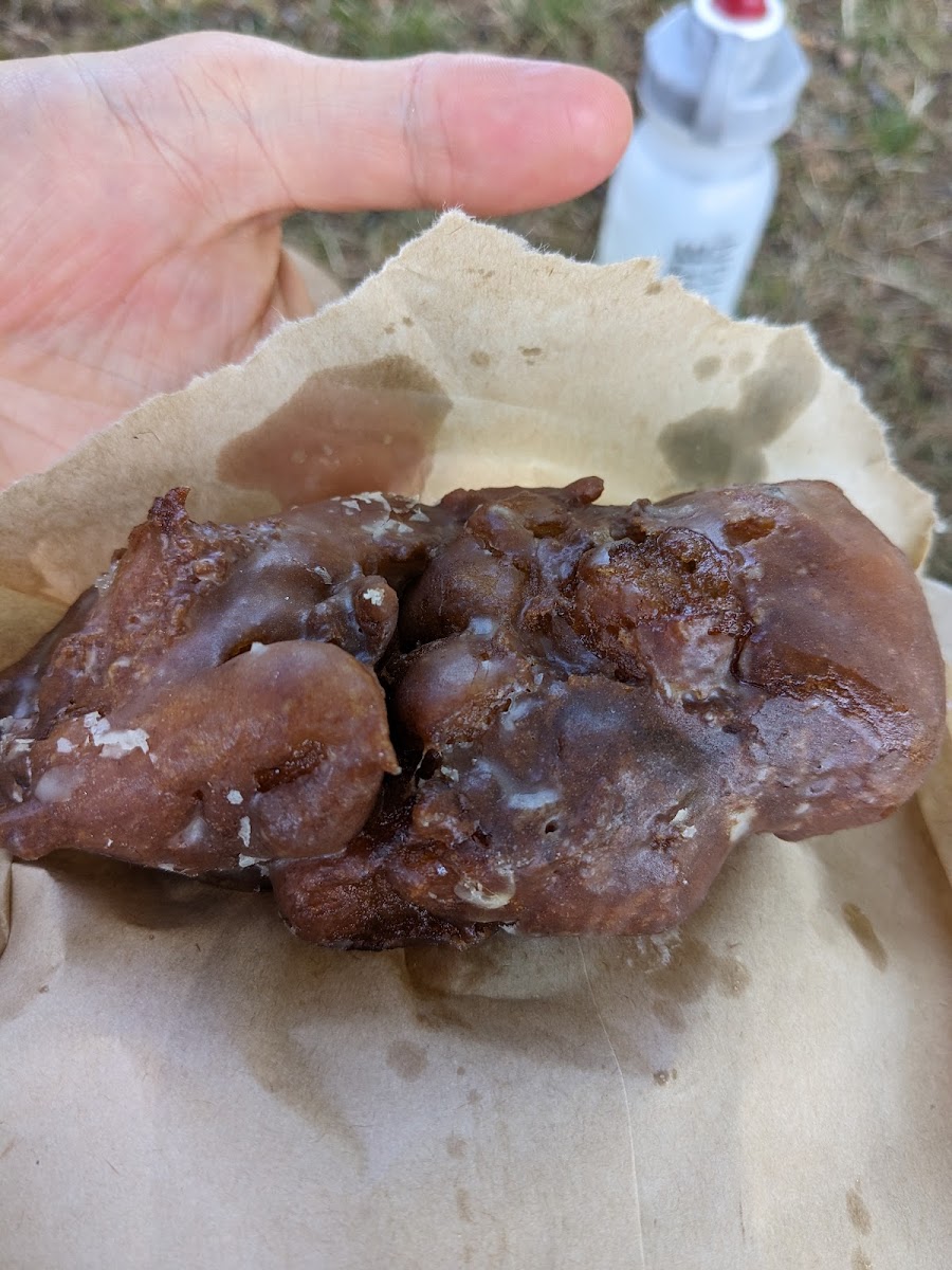 Apple fritter