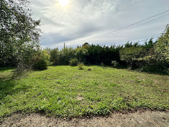 terrain à Souppes-sur-Loing (77)