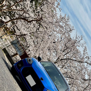 スイフトスポーツ ZC33S