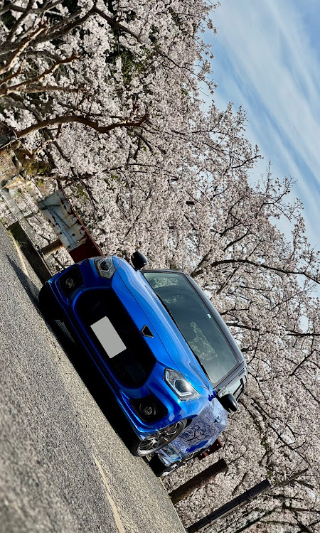 スイフトスポーツの4月もよろしくお願い致します🌸・サクラと愛車・笠城ダム公園・千石峡・草場川の桜並木に関するカスタム事例の投稿画像1枚目