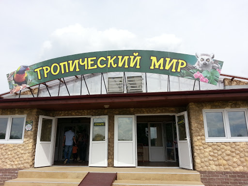 Выставка Тропический Мир