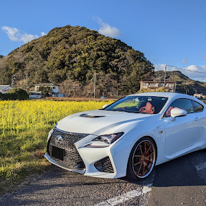 RC F USC10