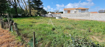 terrain à Saint-Hilaire-de-Riez (85)