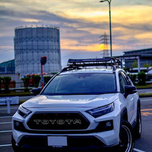 RAV4 AXAH54