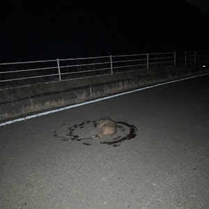 ヴォクシー