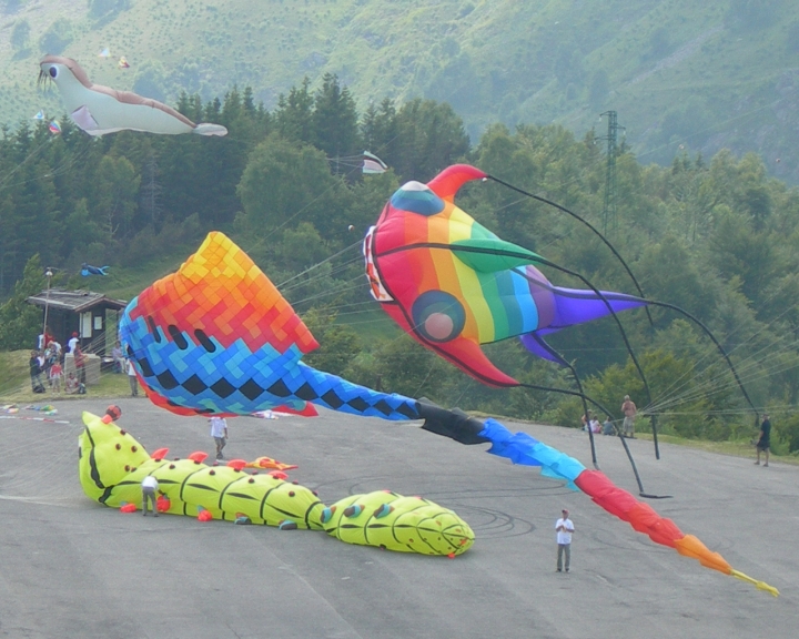 Festa internazionale  dell'aria di Albyfoto