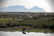 Sinoxolo Mafevuka was raped and murdered after she left her Khayelitsha home to use the communal toilet about 200m away. File photo.