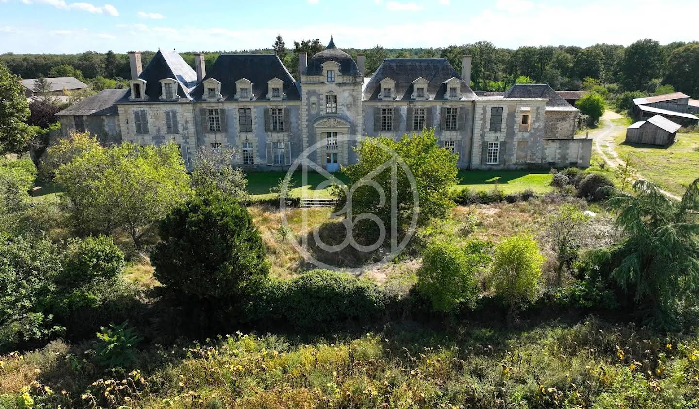 Castle Saumur