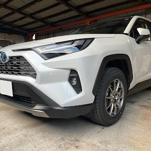 RAV4 AXAH54