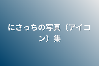 「にさっちの写真（アイコン）集」のメインビジュアル