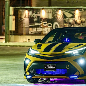 C-HR NGX10