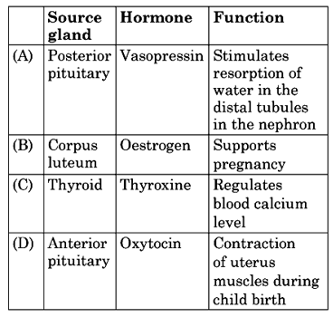 Human Endocrine Glands