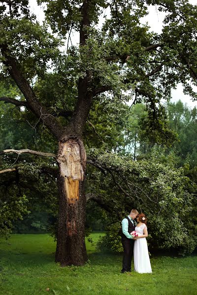 Fotografo di matrimoni Katerina Dogonina (dogonina). Foto del 15 gennaio 2016