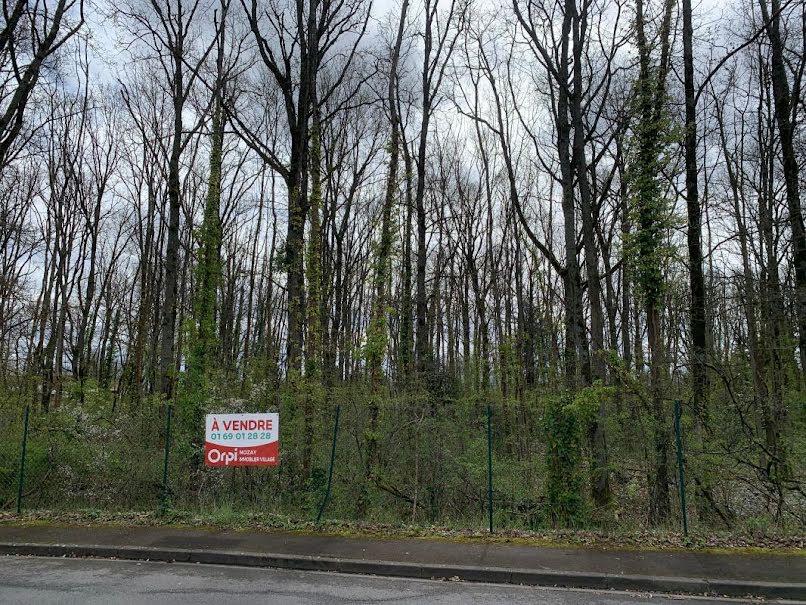 Vente terrain  595 m² à Montlhéry (91310), 222 000 €