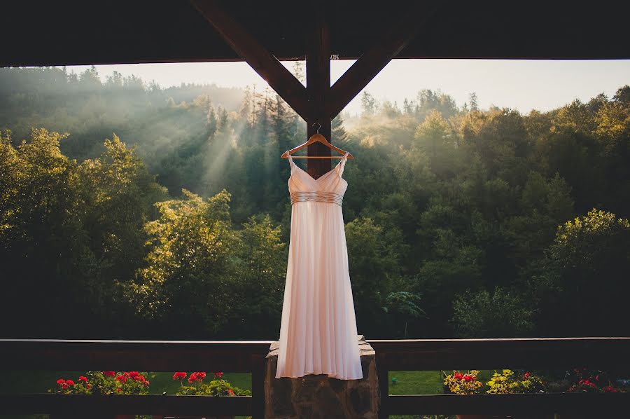 Wedding photographer Aleksandr Medvedenko (bearman). Photo of 26 August 2014