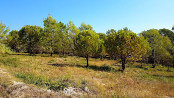 terrain à Bagnols-en-Forêt (83)