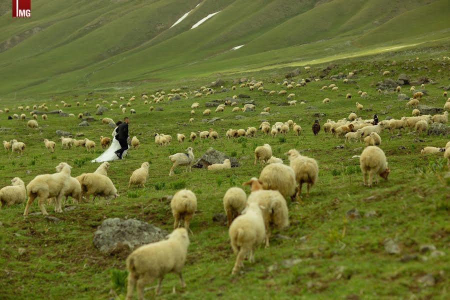 Fotógrafo de casamento Levan Navi (levannavi). Foto de 26 de abril 2020