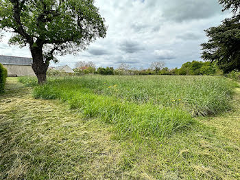 terrain à Château-la-Vallière (37)