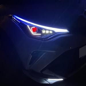 C-HR ZYX11