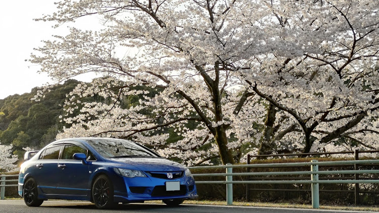 シビックタイプRの春の風物詩と愛車・桜と愛車・サクラと愛車・桜コラボに関するカスタム事例の投稿画像6枚目