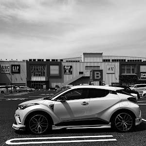 C-HR ZYX10