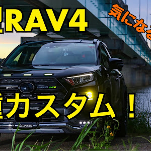 RAV4 MXAA54