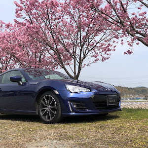 BRZ ZC6