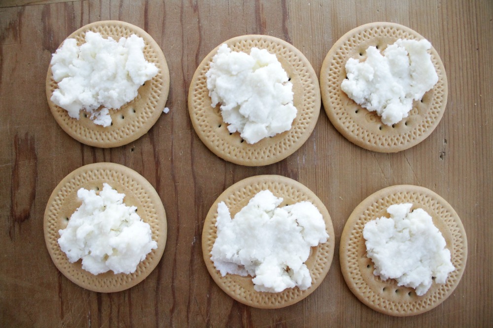 Galletas Maria con Queso Fresco.jpg