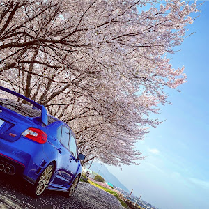 WRX STI VAB