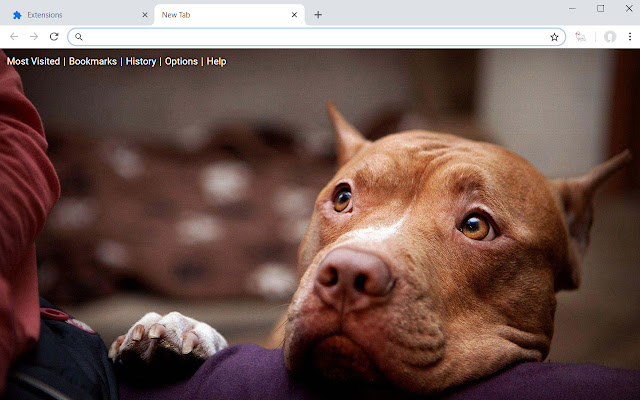 Pitbull Wallpapers Dog & Puppy New Tab Theme