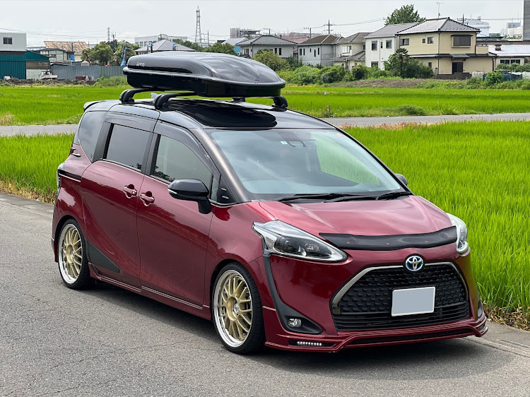 シエンタのバグガード装着・シエンタ170・田舎のヤンキーに関するカスタム事例の投稿画像3枚目