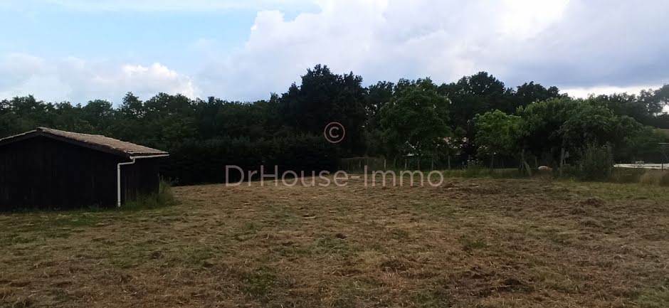 Vente terrain  1500 m² à Saint-Genès-de-Lombaud (33670), 174 000 €