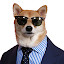 Menswear Dog Wallpaper HD Custom New Tab