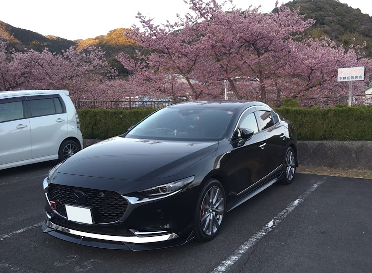 MAZDA3のMazda3・MAZDA・河津桜・MAZDA3セダン・桜に関するカスタム事例の投稿画像2枚目
