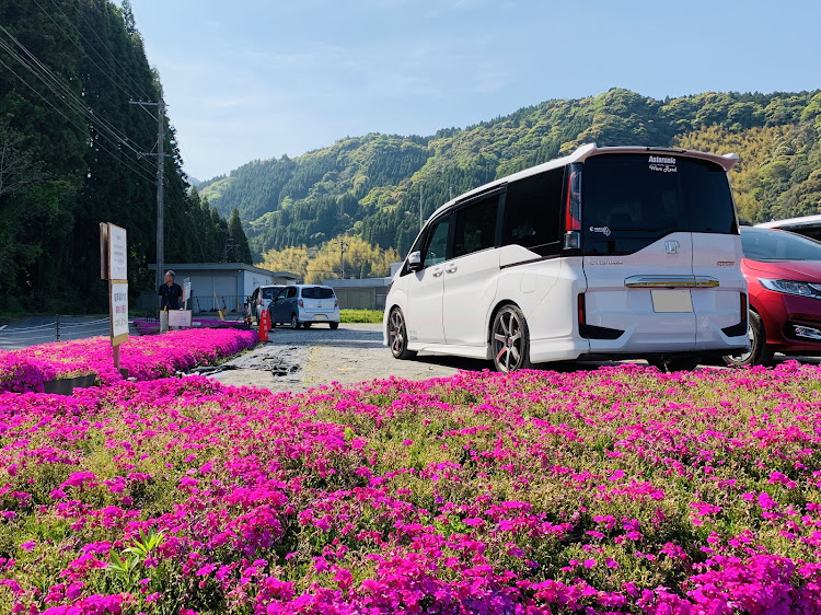 ステップワゴンの鹿児島・ドライブ・芝桜に関するカスタム事例の投稿画像7枚目
