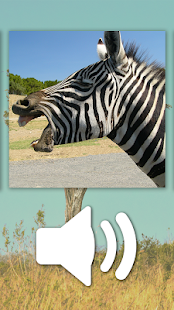 Animals Puzzle Zoo free - games for all ages
