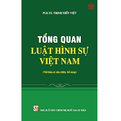 Tổng Quan Luật Hình Sự Việt Nam