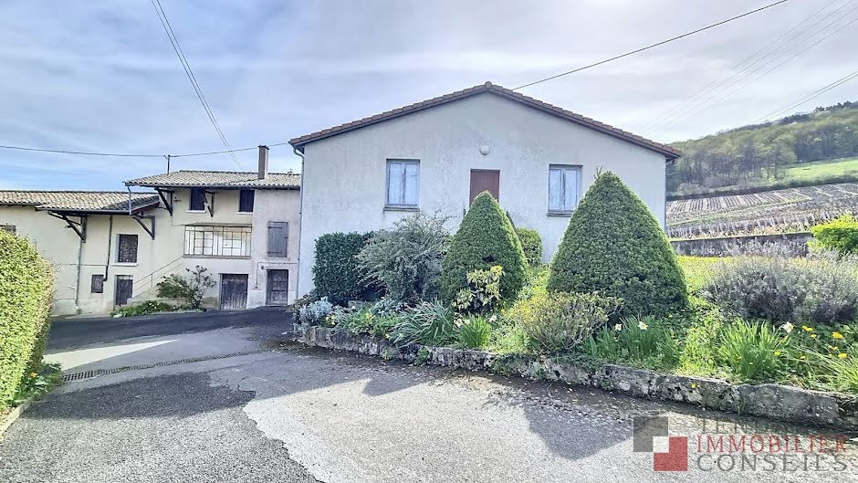 Vente maison 6 pièces 228 m² à Saint-Lager (69220), 279 000 €