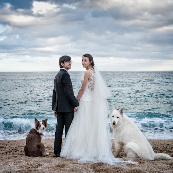 Fotógrafo de casamento Daniel Albertos (albertos). Foto de 5 de março 2018