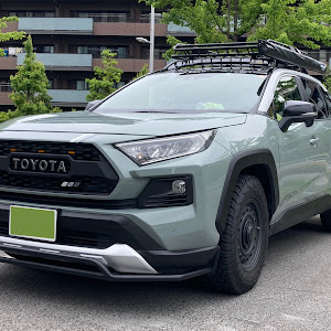 RAV4 MXAA54