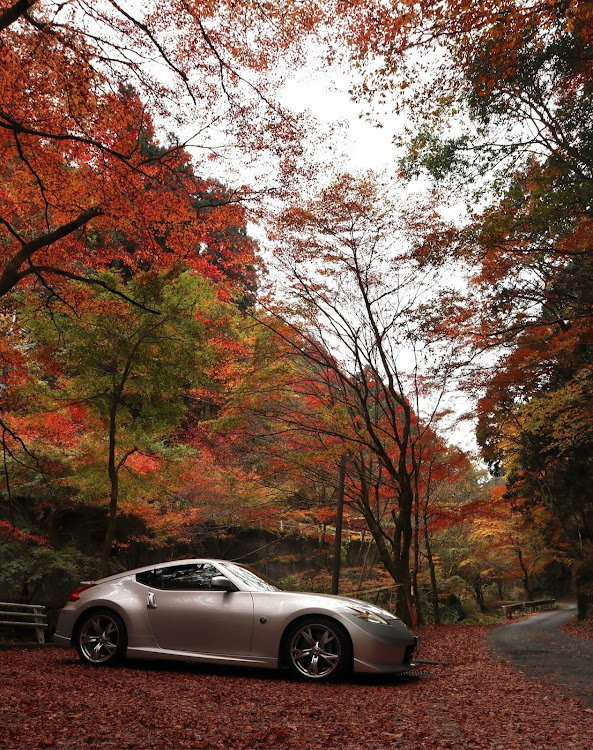 フェアレディZの紅葉ドライブ・田舎路に関するカスタム事例の投稿画像1枚目